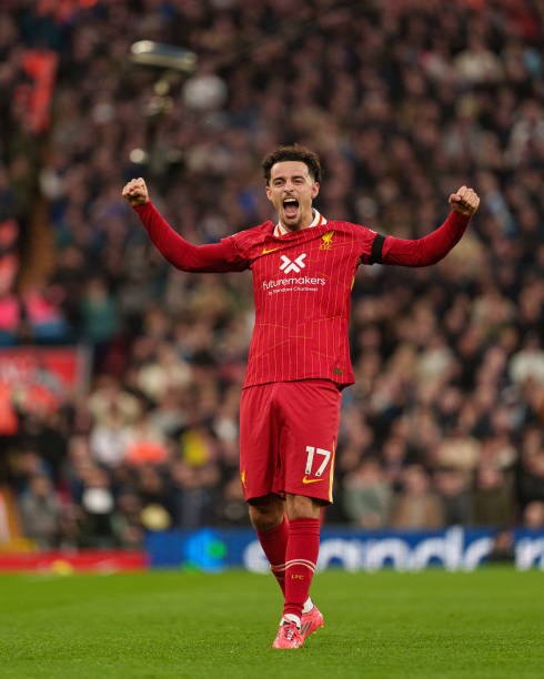 及意甲赛场 及意甲赛场