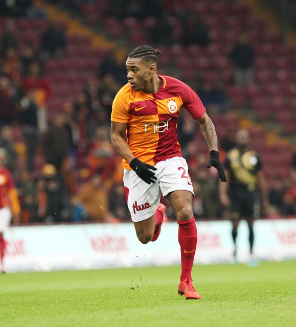 望月海辉的 望月海辉的